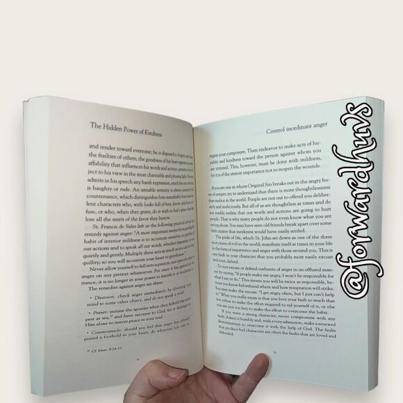 The Hidden Power of Kindness a Handbook for Souls who Dare to Transform The Worl - Picture 4 of 9